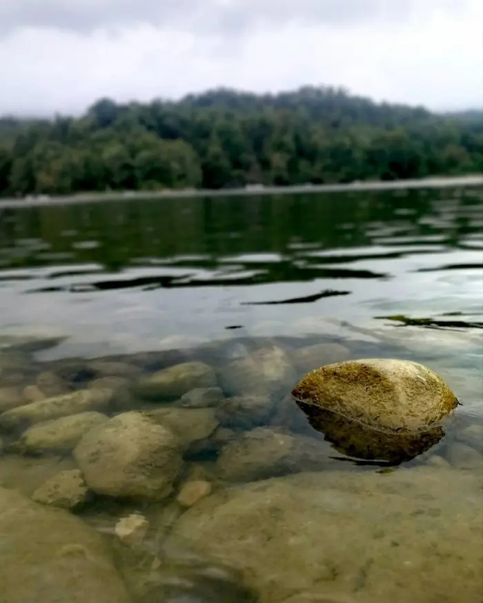 درختان سرسبز در کنار دریاچه و اب شفاف دریاچه ی الیمالات که سنگ دیده میشود 