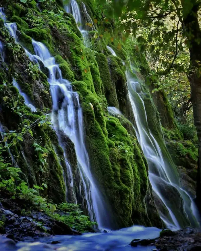 آبشار اوبن با گیاهان و خزه های سرسبز 4521369