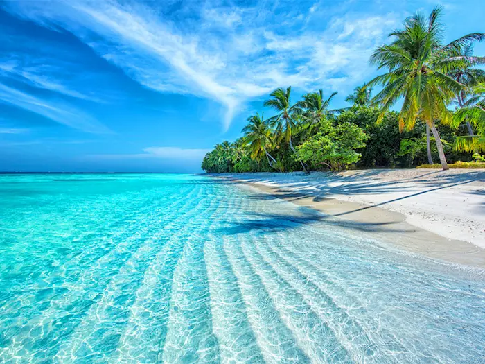 سواحل آرامش بخش جزیره مالدیو و آب زلال 52663526526