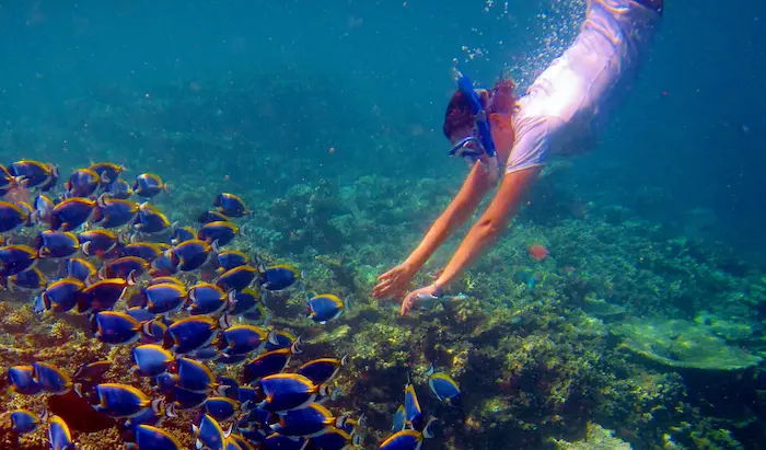 شنا و غواصی در آب های جزیره مالدیو و تماشای ریف های مرجانی 4565465265266